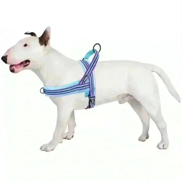 🌈 6/$60, Didog Soft Padded Dog Harness, Large, Turqoise/Purple - Picture 1 of 5